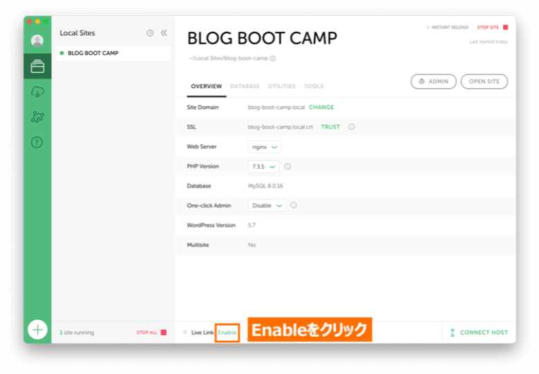 Local by flywheelで作成したWordPressローカル環境を共有